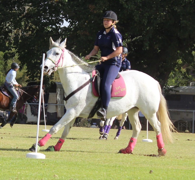 Rider weaving through bending poles