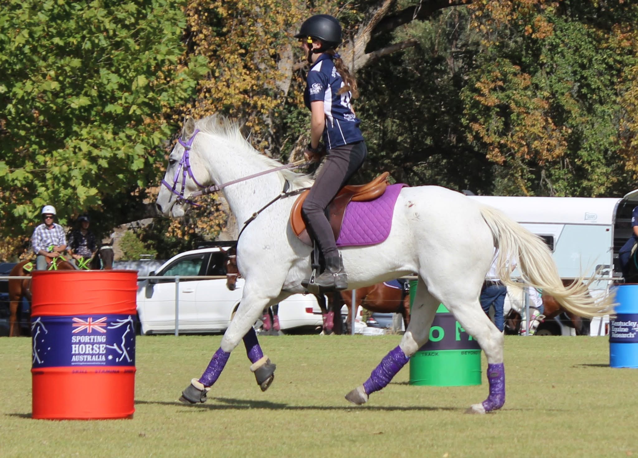 Grey horse through the barrels
